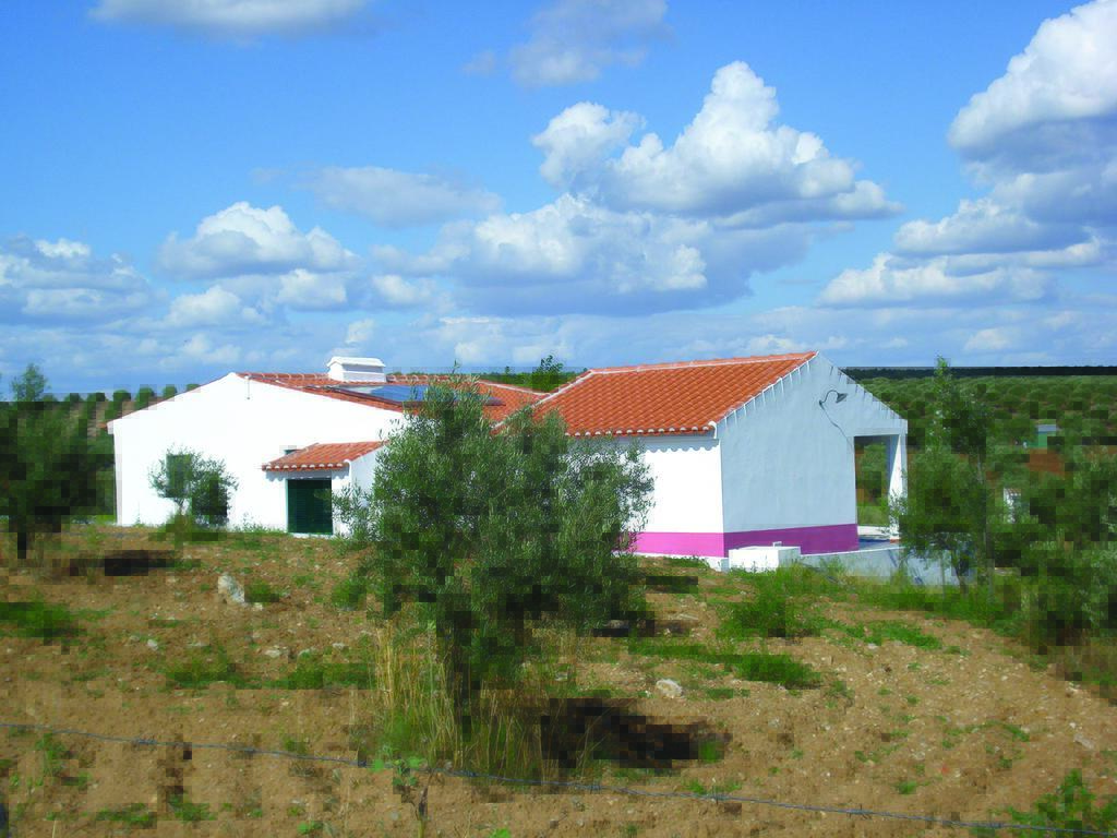 Horta Do Muro Campo Maior Esterno foto