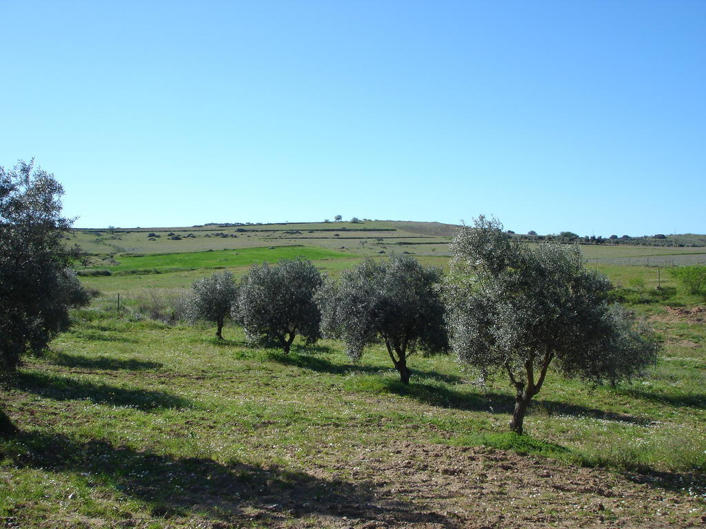 Horta Do Muro Affittacamere Campo Maior Esterno foto